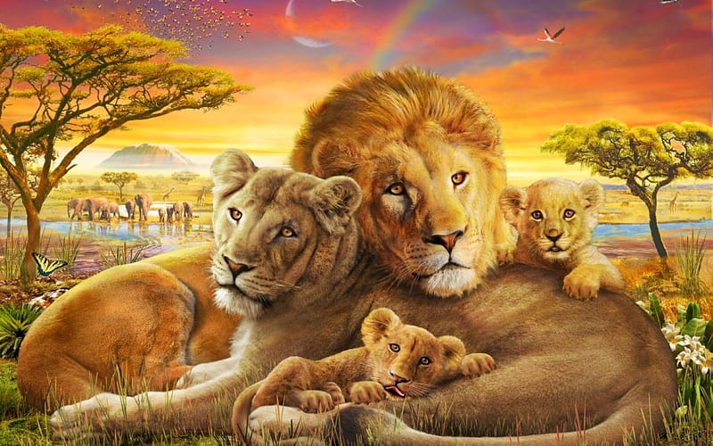 Lions, family, animal, leu, lion, adrian chesterman, HD wallpaper | Peakpx