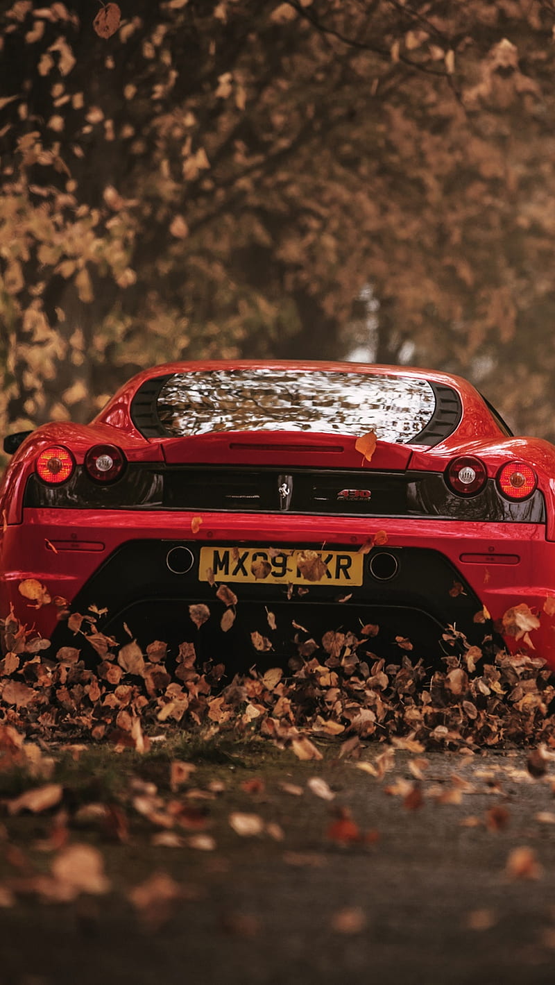 Ferrari, otoño, hojas, rojo, la carretera, velocidad, Fondo de pantalla de  teléfono HD | Peakpx