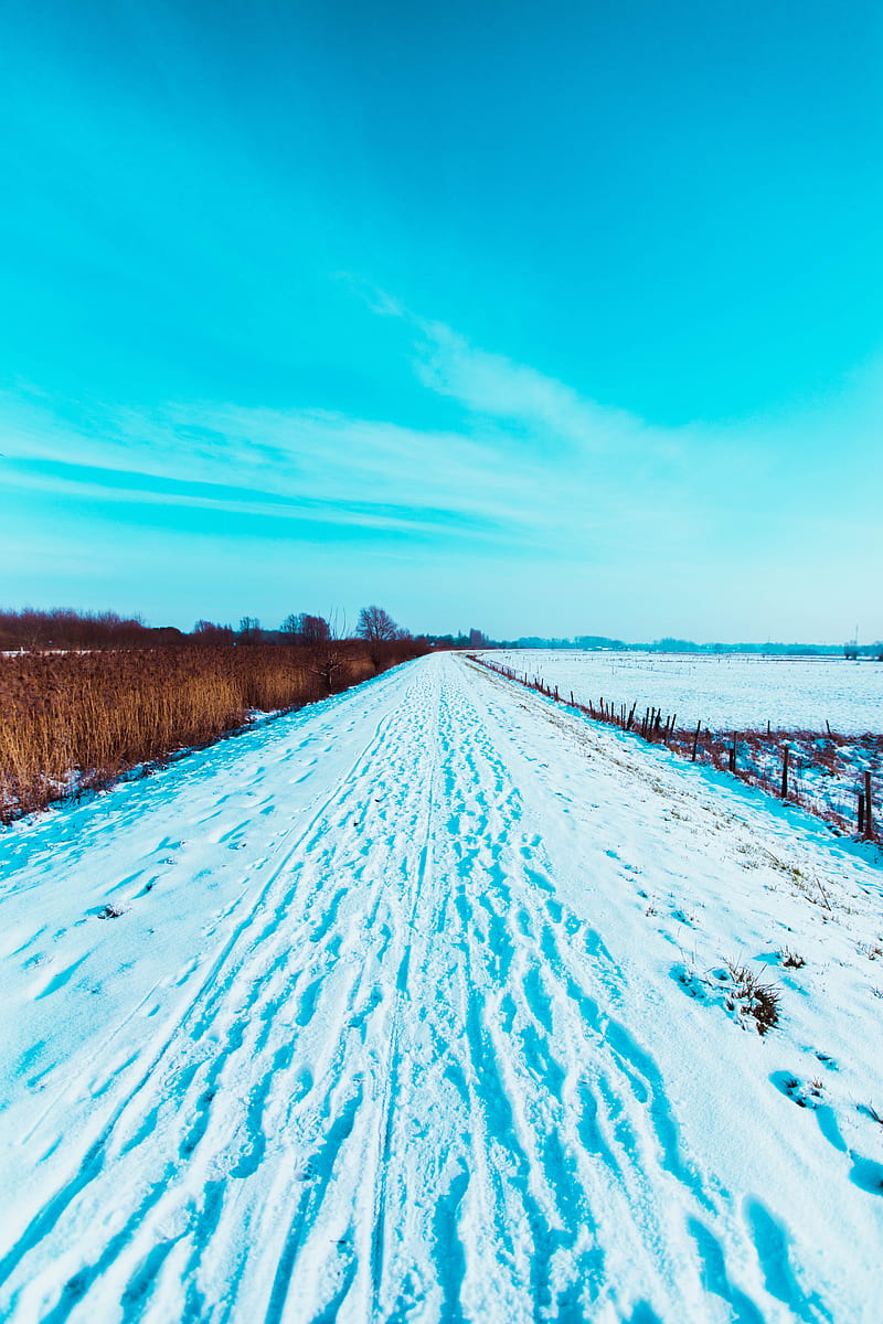 road, snow, traces, field, winter, landscape, HD phone wallpaper