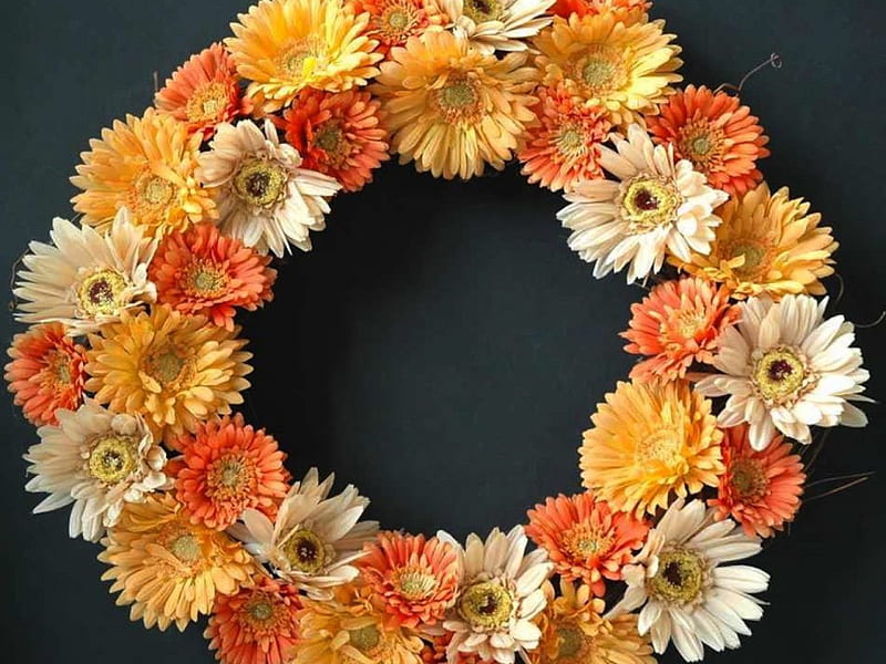 Gerber Daisy Wreath, gerber, wreath, art, circle, orange, decoration, round, craft, flowers, garden, daisy, HD wallpaper