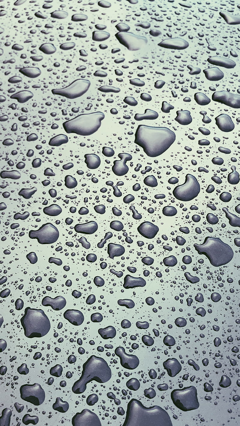 All Wet, cool, droplets, drops liquid, rain, shiny, water, HD phone wallpaper