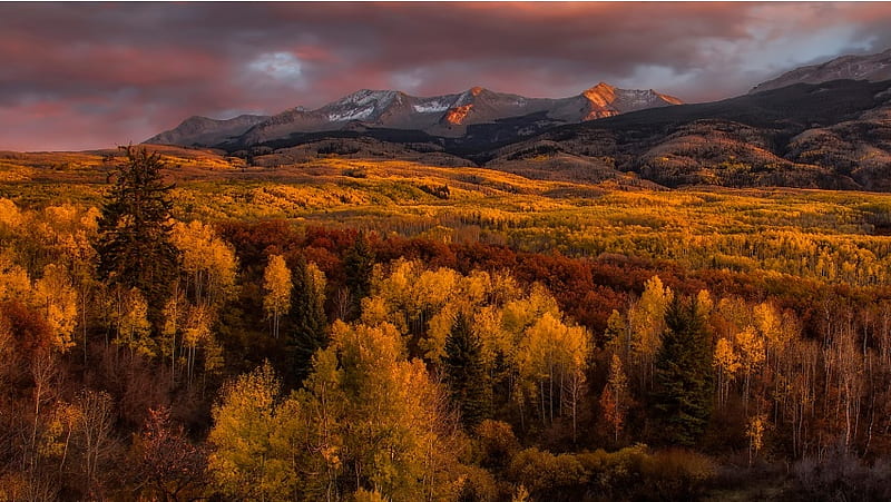 Golden Glow Autumn Trees Mountains, HD wallpaper | Peakpx