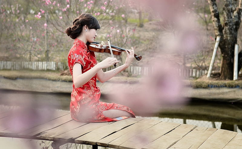 The spring song, red, violin, dress, bloom, music, spring, woman, branch, instrument, japan, song, girl, asian, pink, HD wallpaper