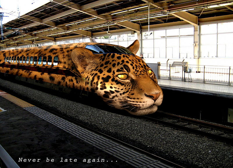 Leopard train, cool, funny, trains, entertainment, HD wallpaper | Peakpx