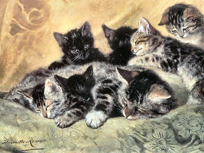 A Time for Rest and Thought - Cats F, art, old master, Ronner, Henrietta Ronner, kittens, cat, artwork, animal, pet, feline, painting, oldmaster, HD wallpaper