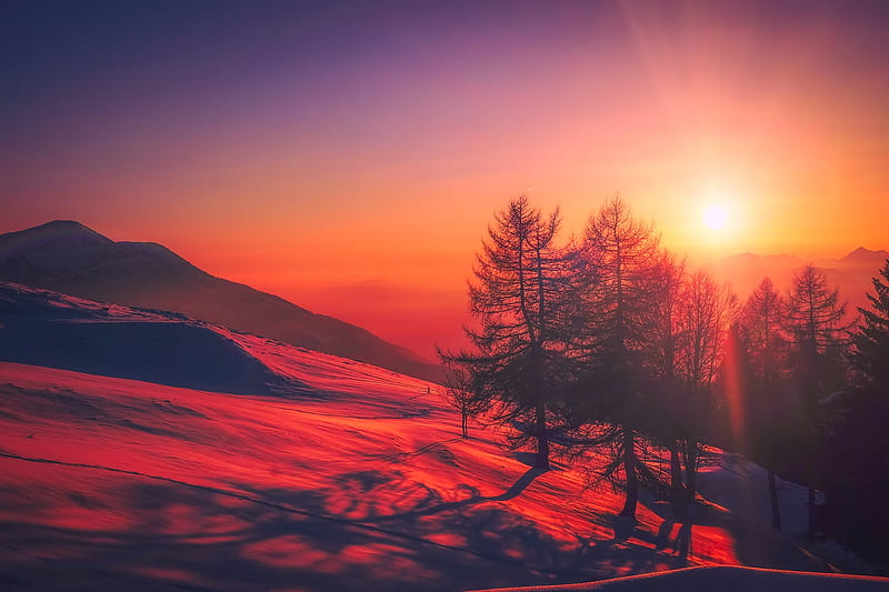 Beautiful Red Tone Sunrise Snow Trees, nature, trees, red, snow, sunrise, graphy, HD wallpaper