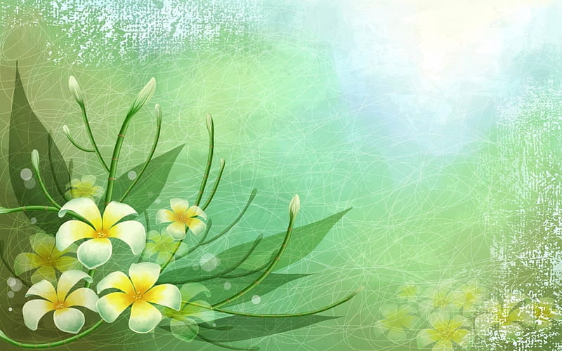 Với tông màu xanh lá, hoa Plumerias mang đến cho bạn sự tươi vui và sự sống động. Hãy tìm ngay bức tranh về Plumerias để chế tác cho bạn một tấm thiệp tươi sáng với màu sắc tươi mới!