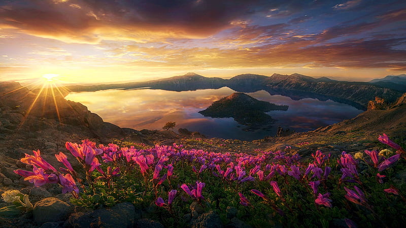 Crater Lake in summer, Oregon, sky, wildflowers, usa, flowers, sunset, clouds, landscape, HD wallpaper