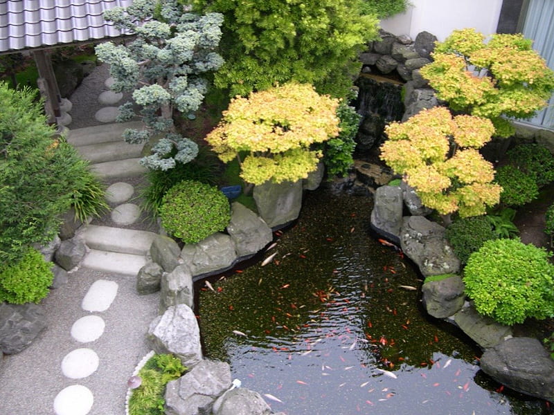 Fish Pond in Your Garden, pond, back-yard, fish, flowers, garden, Japanese, HD wallpaper