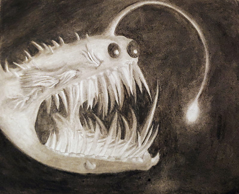 Charcoal Angler Fish, angler fish, black and white, creepy, deep sea, drawing, HD wallpaper