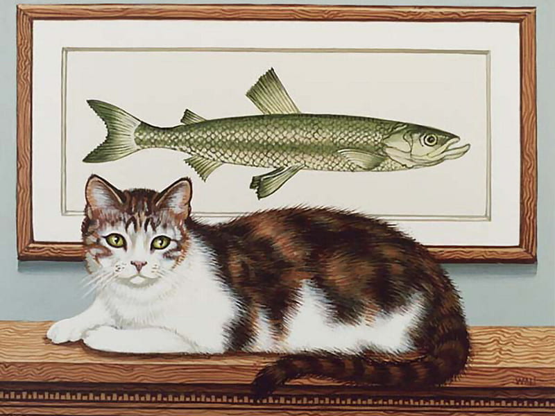 Dreaming of Fish - Cat , sue wall, art, fish, shelf, cat, wall, artwork, animal, pet, feline, painting, HD wallpaper