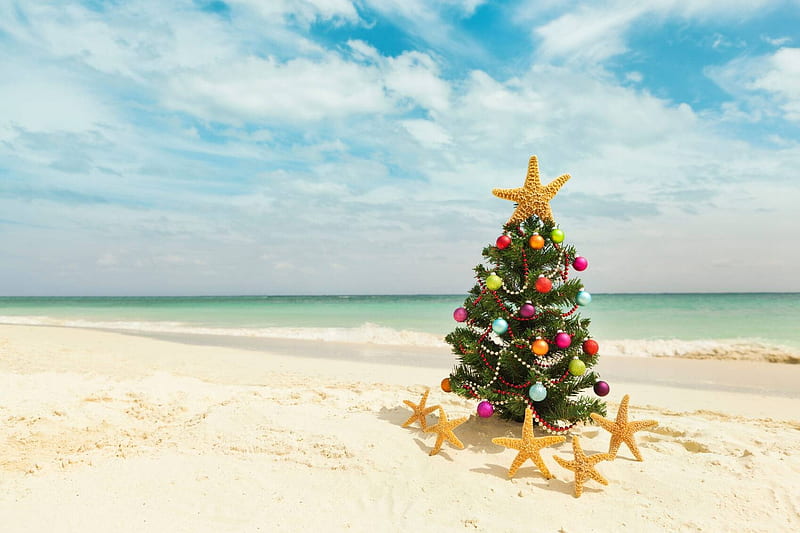 New Zealand Christmas, tree, art, beach, digital, starfish, sea, HD wallpaper