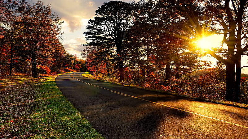 Autumn On The Blue Ridge Parkway Trees Road With Sunbeam Nature, HD wallpaper