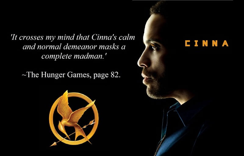 Masks A Complete Madman, the hunger games, the hunger games trilogy, cinna, stylist, HD wallpaper