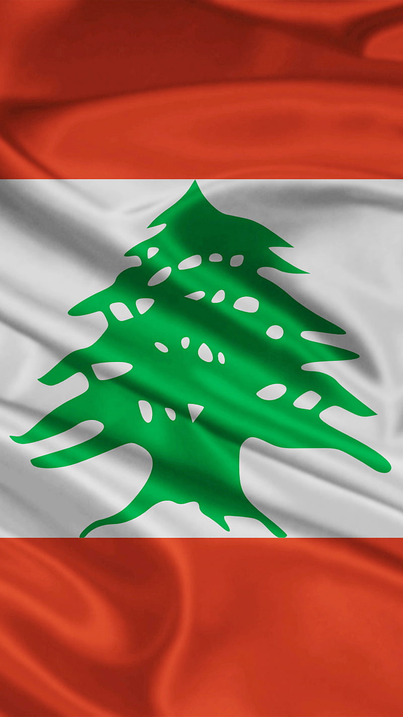 lebanese flag, cedar, flag, green, lebanese, lebanon, red, tree, white, HD phone wallpaper