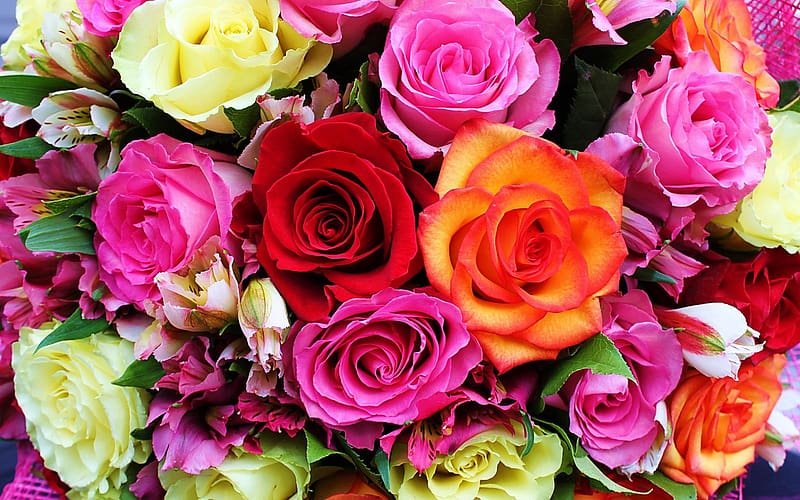Flowers, Flower, Rose, , Colors, Colorful, Yellow Flower, Red Flower ...