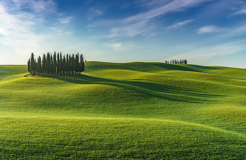 Green field, Field, Trees, Hills, Shadow, HD wallpaper