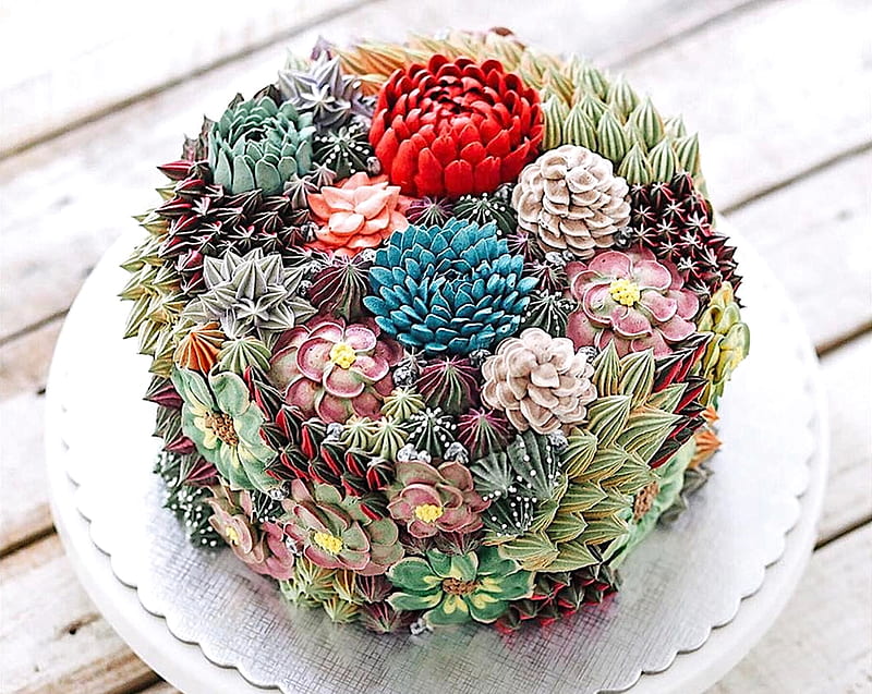 Succulent Cake, cake, art, succulents, food, bake, dessert, sweet, HD wallpaper