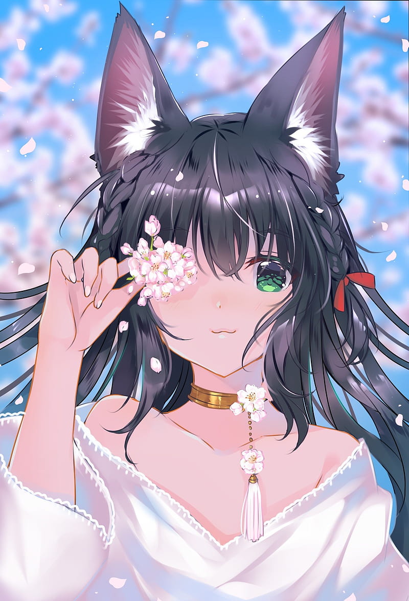 animal ears, black hair, collar, green eyes, bare shoulders, cherry blossom, anime girls, Usagihime, HD phone wallpaper