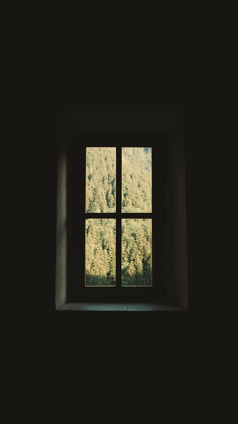 window, room, wall, trees, dark, HD phone wallpaper