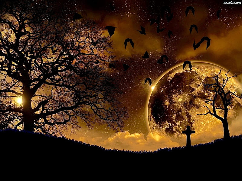 Golden Full Moon, gold, moon, bats, Awesome, Digital, black, Eerie, Halloween, HD wallpaper