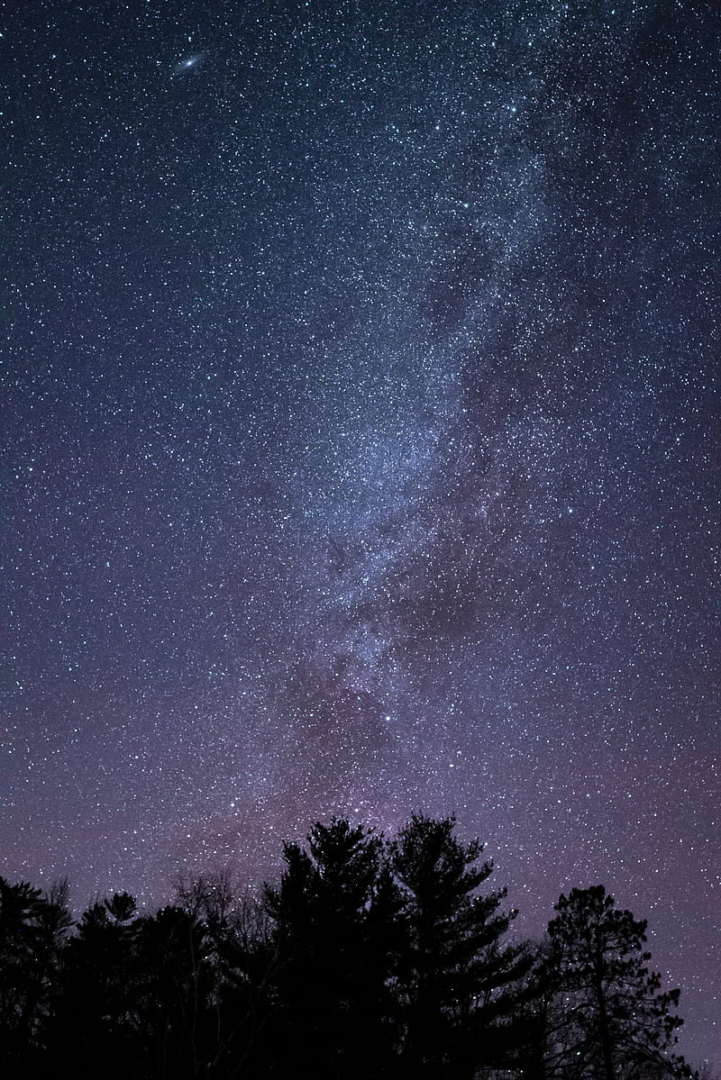 starry sky, stars, trees, silhouette, HD phone wallpaper
