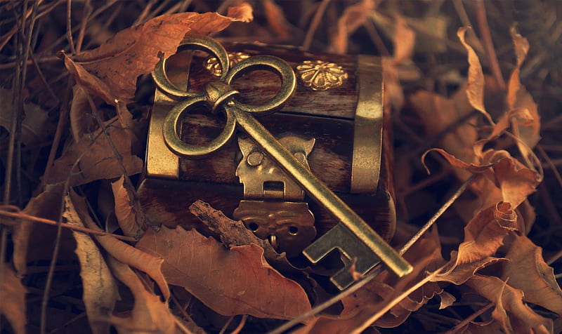 Treasure chest with key, chest, treasure, brown, key, HD wallpaper