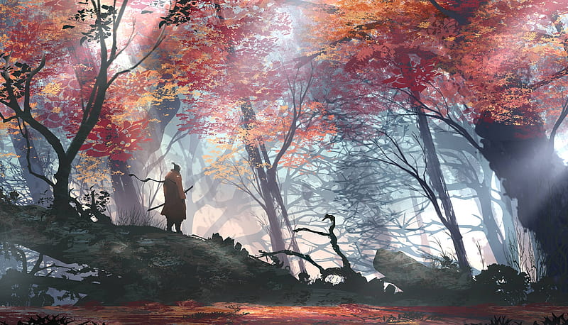 anime man, samurai, autumn, scenic, forest, sword, trees, Anime, HD wallpaper