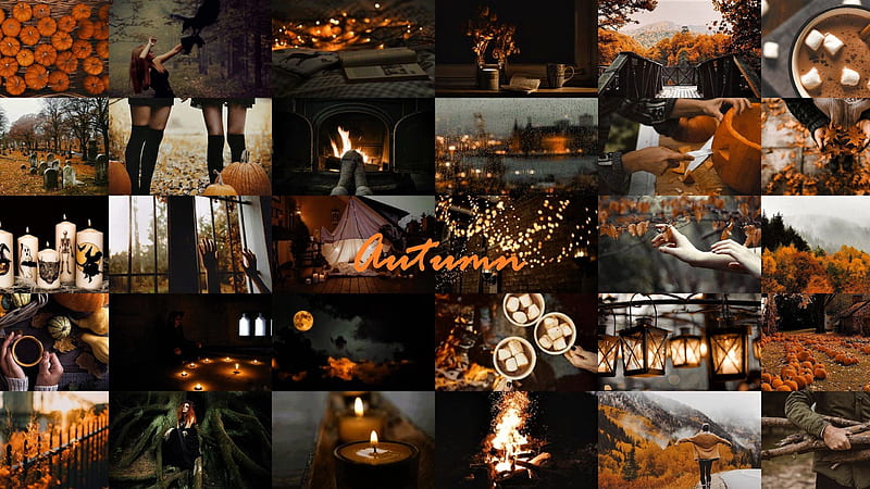 Download Fall Aesthetic Collage Wallpaper  Wallpaperscom