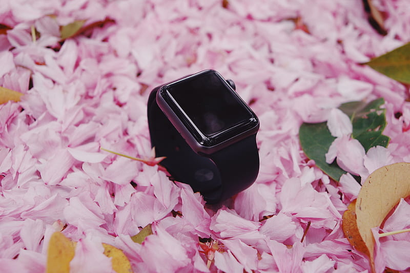 black apple watch on pink and white flower petals, HD wallpaper