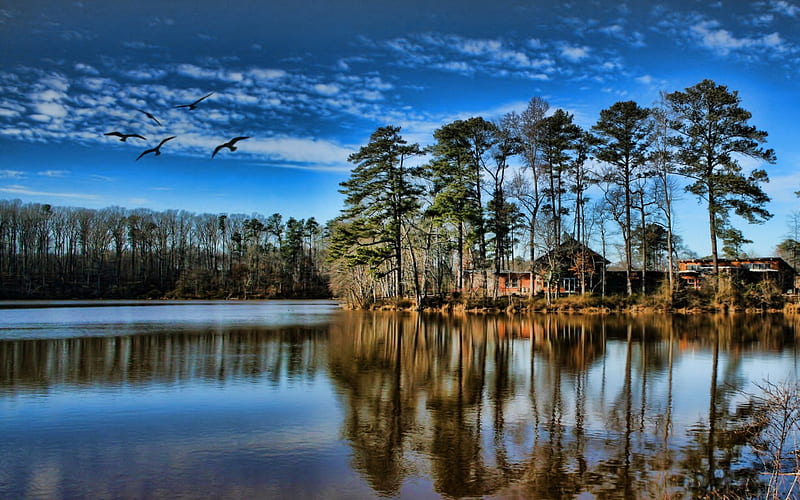 Birds flying over lake, house, water, birds, nature, reflection, trees, clouds, animals, HD wallpaper