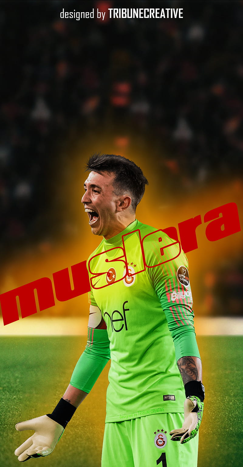 Galatasaray , cimbom, gala, goalkeepe, muslera, HD phone wallpaper