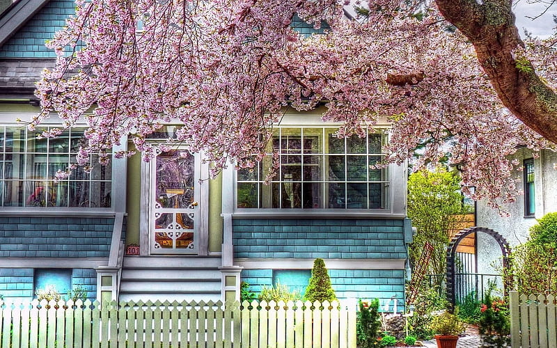 flowering tree, front garden, porch, house, HD wallpaper
