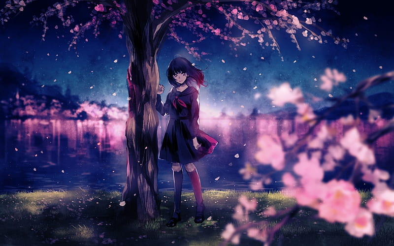 Hermosa noche, bonita, césped, bonito, mujer, flor de cerezo, anime, flores,  Fondo de pantalla HD | Peakpx
