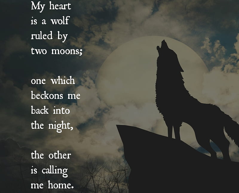 My-heart-is-a-wolf, canislupus, wolf art, black, saying, timber wolf, wolves, white, howling, wisdom, HD wallpaper