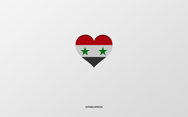 I Love Syria, Asia countries, Syria, gray background, Syria flag heart, favorite country, Love Syria, HD wallpaper