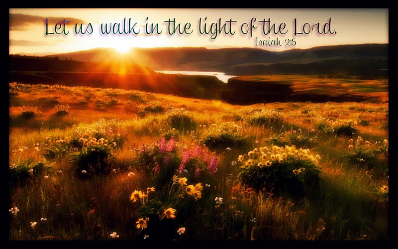 Walk, sun, bible verses, jesus, scriptures, flowers, path, morning, bible, god, light, holy spirit, HD wallpaper