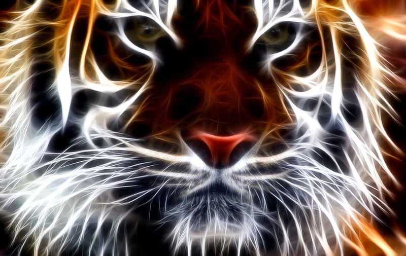FRACTAL TIGER 2, stripes, whiskers, orange, fractal tiger, white, HD wallpaper