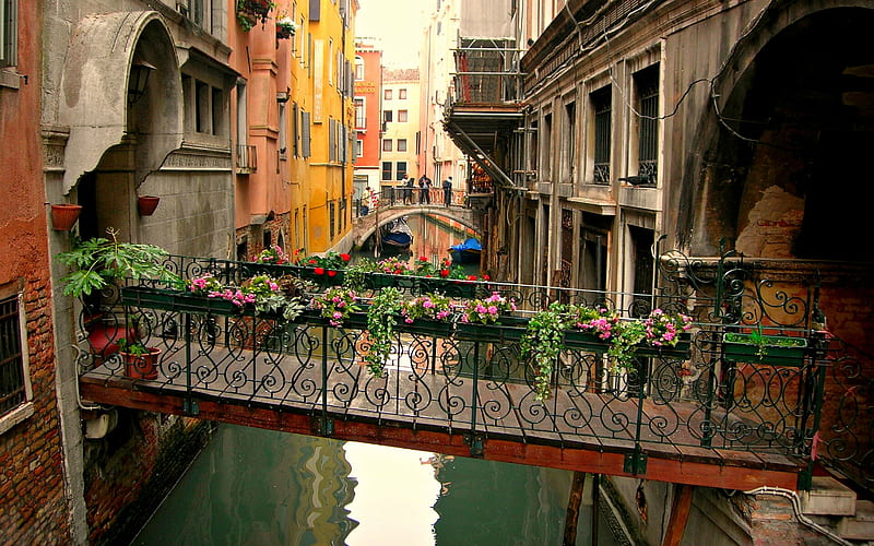 The canals of Venice., italia, nice, multicolor, countries, flowers, cities, paisage, wood, italy, vessels, nails, salmon, red, canal, bonito, city, bridge, green, way, scenery, beije, blue, bricks, tourism, stairways, maroon, paisagem, screws, worked bars, branches, scene, tourists, palaces, hr, orange, high resolution, high definition, yellow, arches, boats, scenario, walls, beauty, iron, paysage, houses, tour, bridges, country, panorama, grids, iron railings, water, cool, conduit, railings, awesome, landscape, colorful, brown, gray, travel, gondolas, venice, waterway, graphy, channel, pink, amazing, multi-coloured, colors, doors, leaf, plants, summer, colours, HD wallpaper