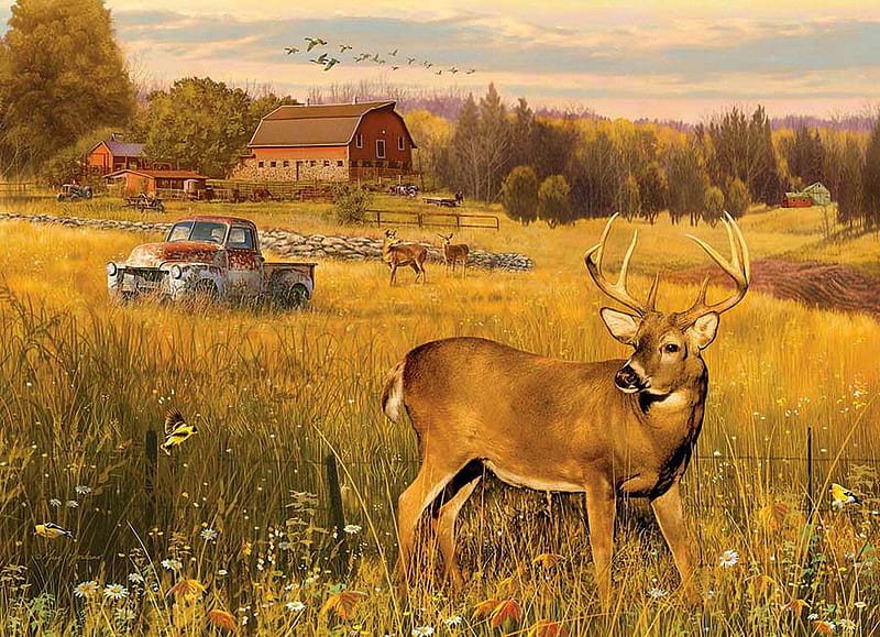 Deer Field, trees, car, barn, painting, blossoms, truck, HD wallpaper ...