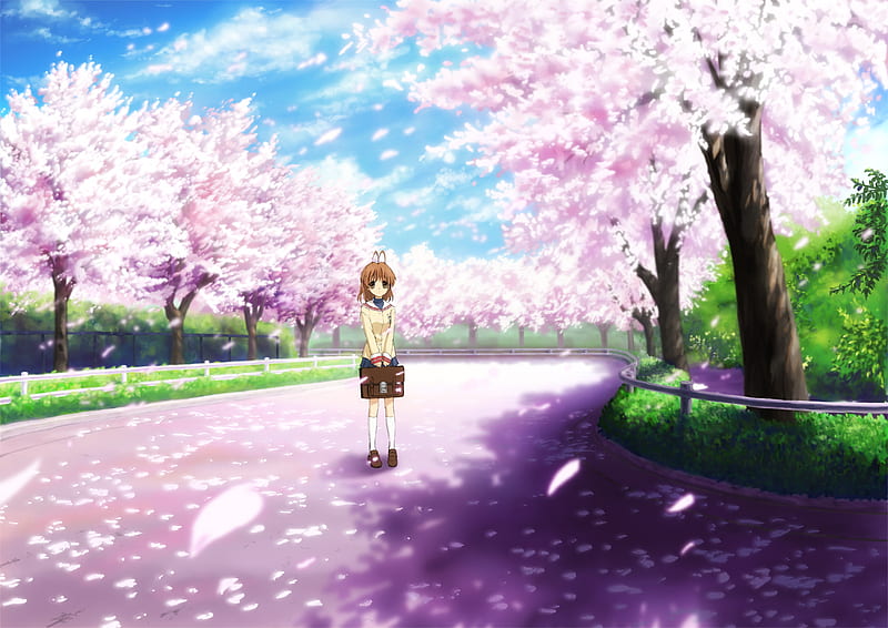 Đi bộ qua con đường đầy hoa Sakura là trải nghiệm đáng nhớ. Cảm nhận sự tĩnh lặng và yên bình của từng cánh hoa, dạo bước giữa khung cảnh mơ màng đầy màu sắc.