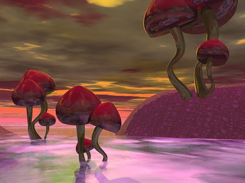 Shroom Sunset, red, water, mushrooms, land, sky, scene, HD wallpaper
