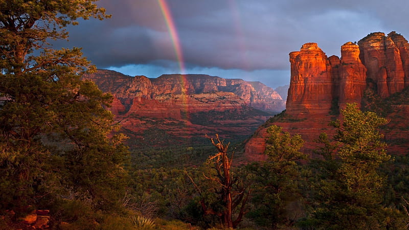rainbow in the heart of a canyon, rocks, rainbow, trees, clouds, canyon, HD wallpaper