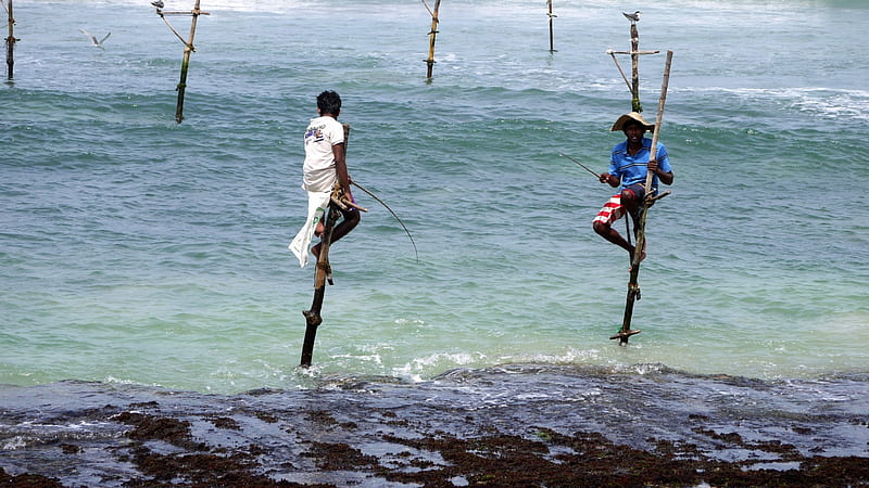 Stilt Fishermen, Stilt, Coast, Fishermen, Sri Lanka, HD wallpaper