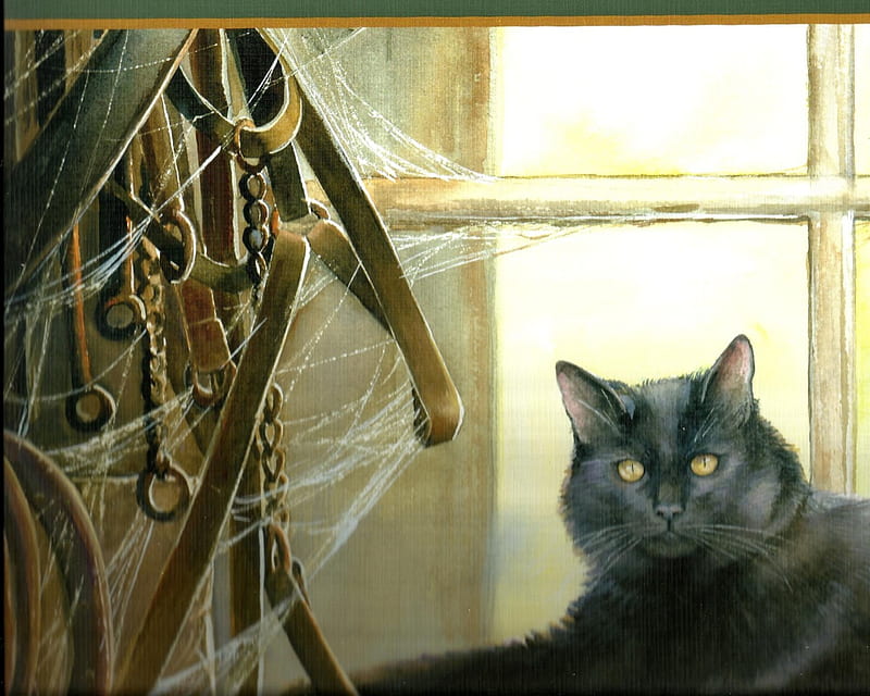 A black cat by a barn window, window, black, cat, spider web, barn, HD wallpaper