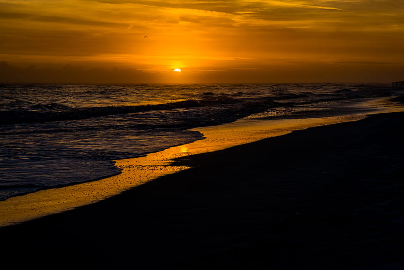 sunset, beach, sun, tide, HD wallpaper