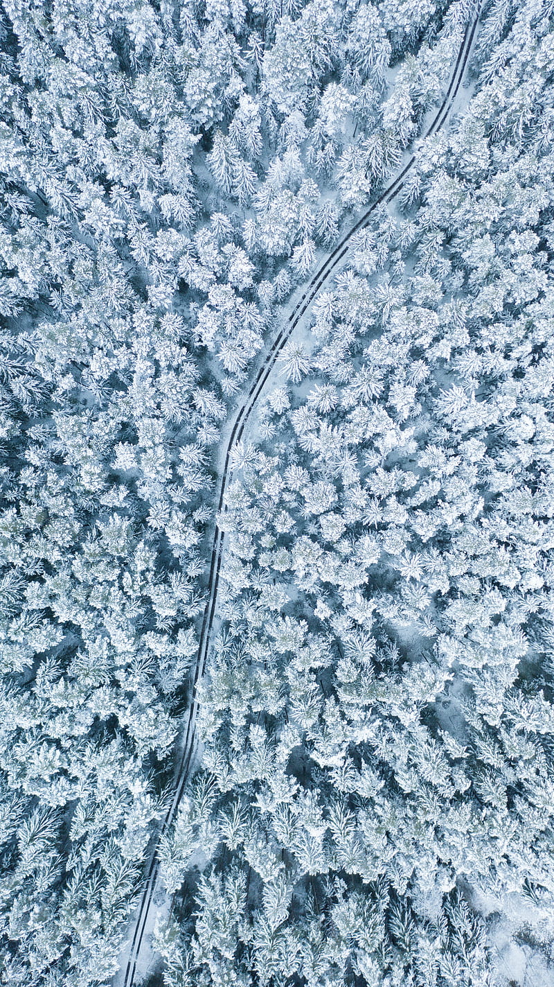 snow, winter, aerial view, forest, trees, HD phone wallpaper