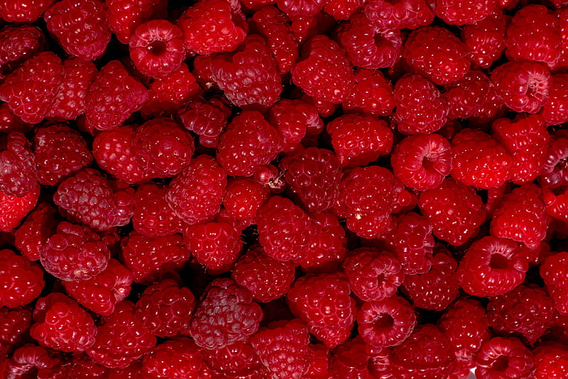 raspberry, berry, fruit, dessert, red, HD wallpaper