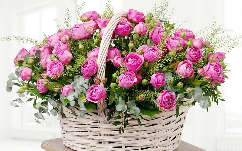 basket of roses, pink roses, basket of flowers, roses, HD wallpaper