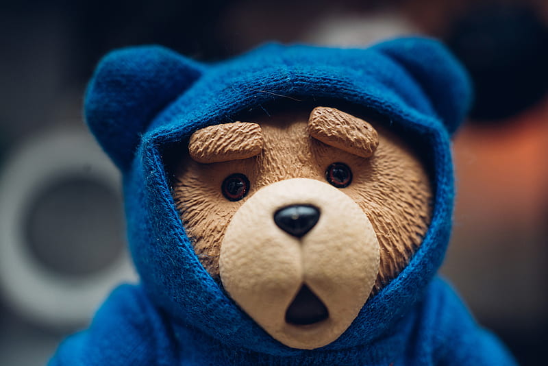 teddy bear, shocked expression, toy, Others, HD wallpaper